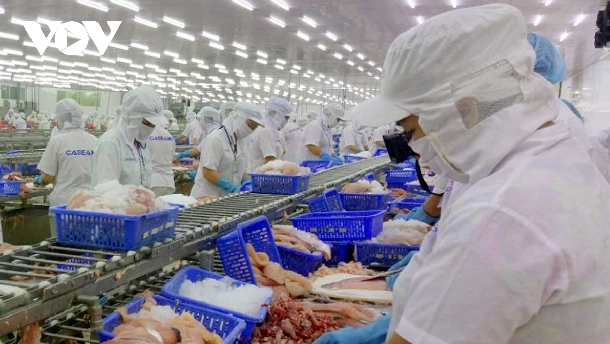 Aquatic exports to China anticipated to surge considerably in 2023